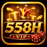558H